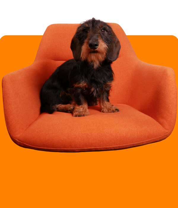Collega Franky KiKS